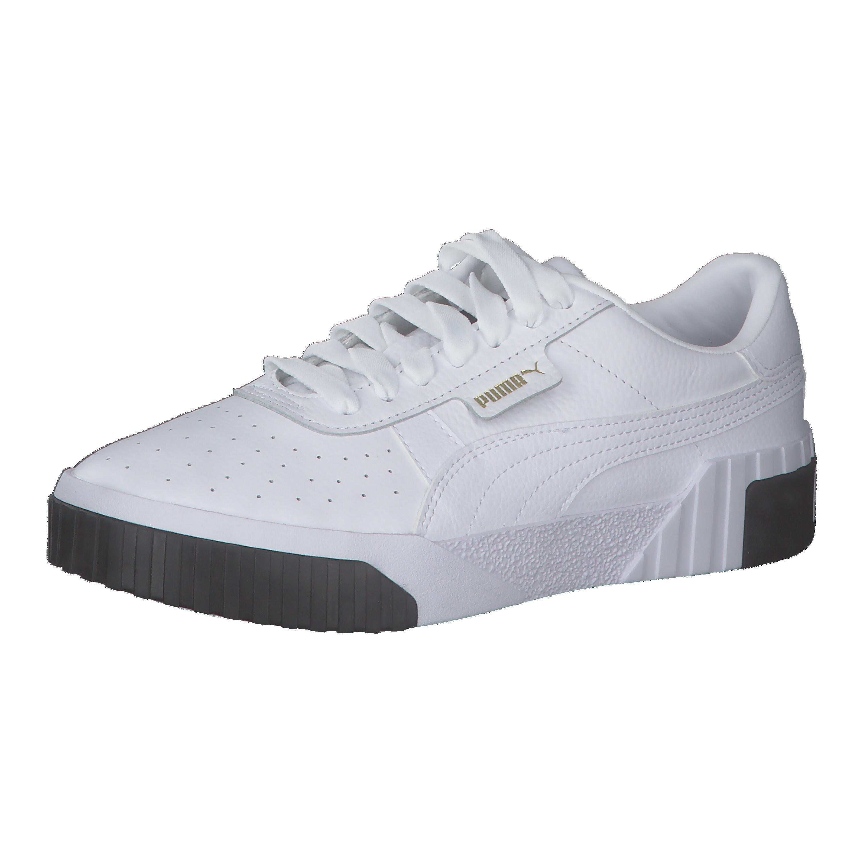 PUMA picture