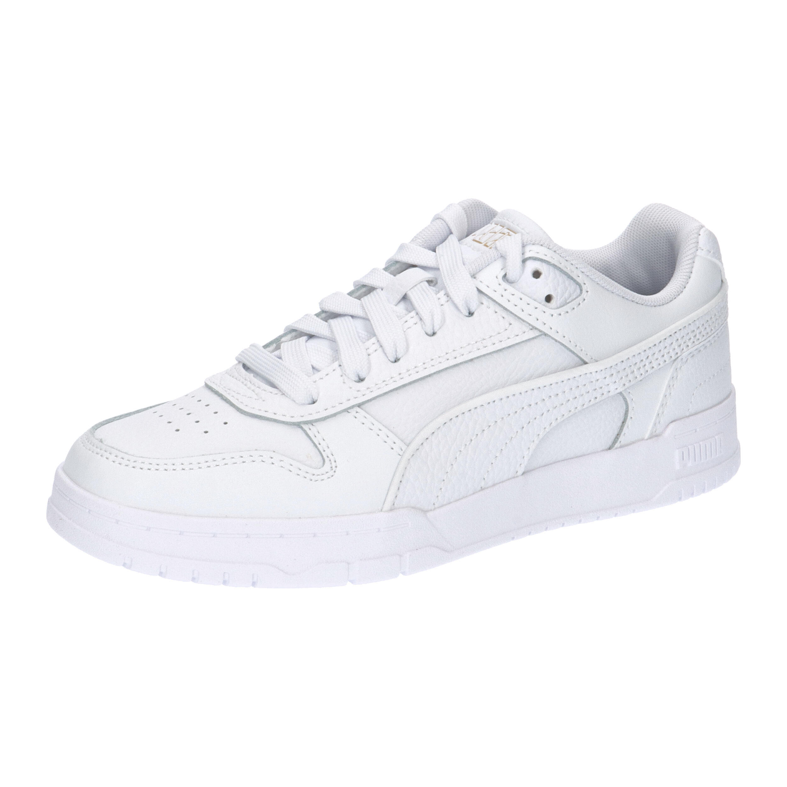 PUMA picture