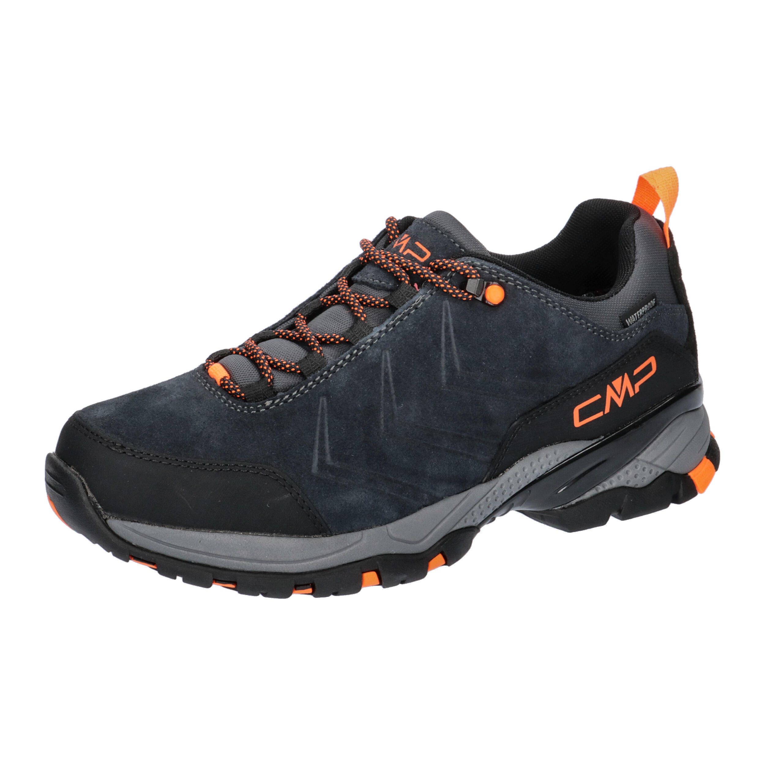 CMP picture