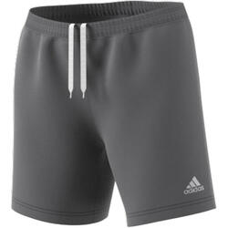 Short femme adidas Entrada 22 gris