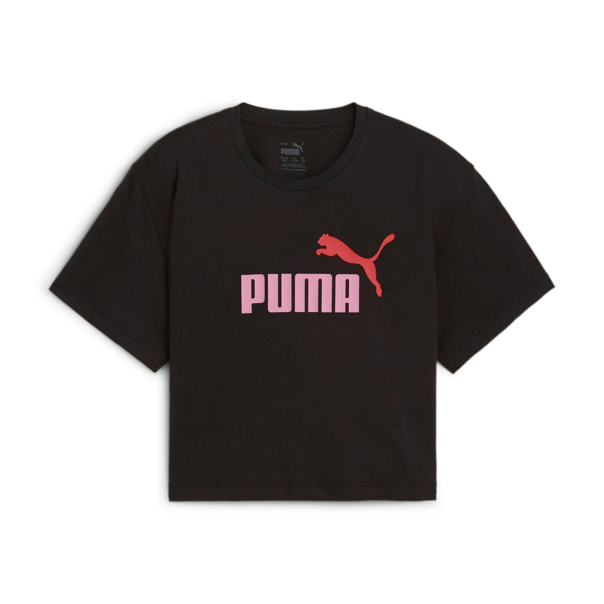 PUMA picture