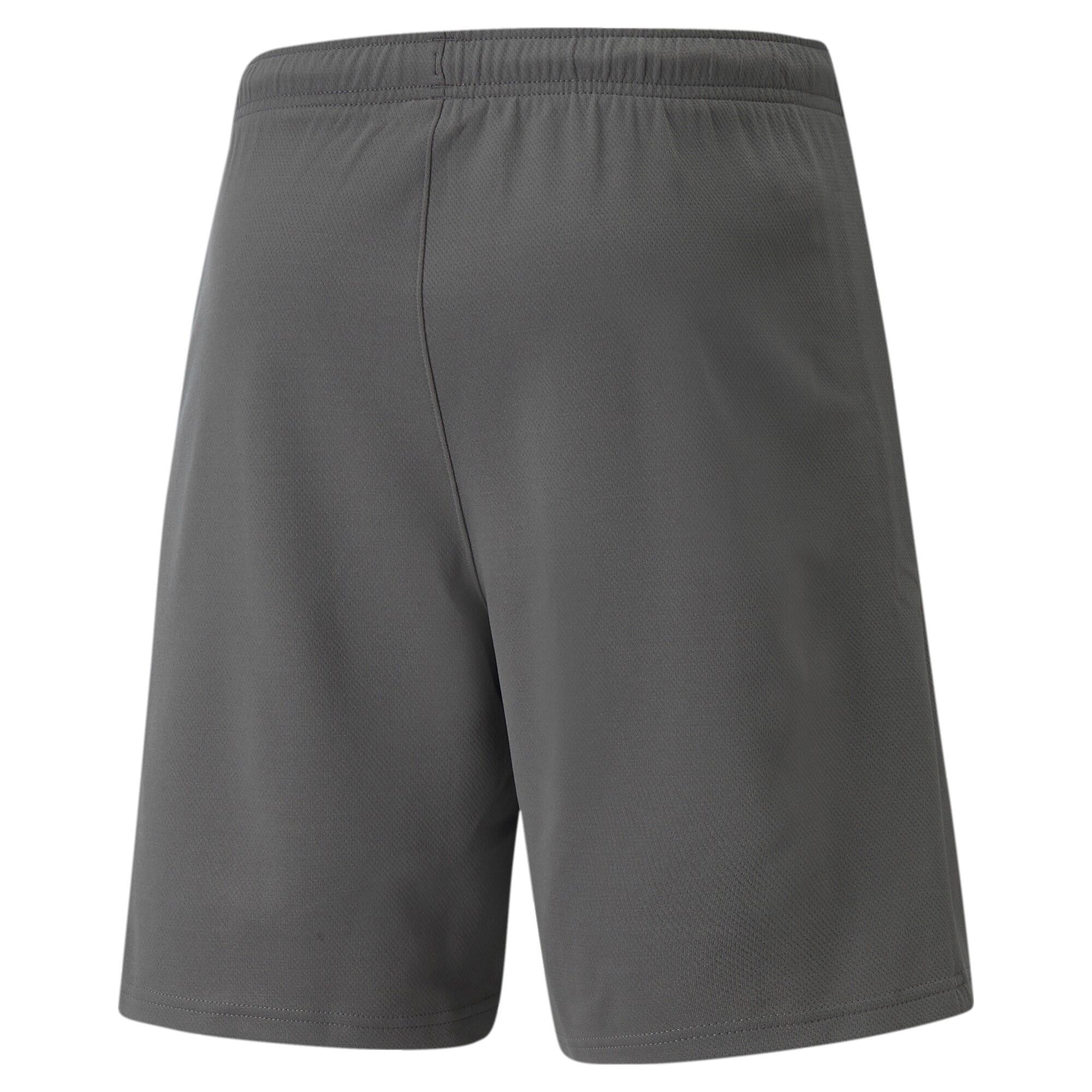 "TeamRise" Shorts für Herren Grau Silber 3/3