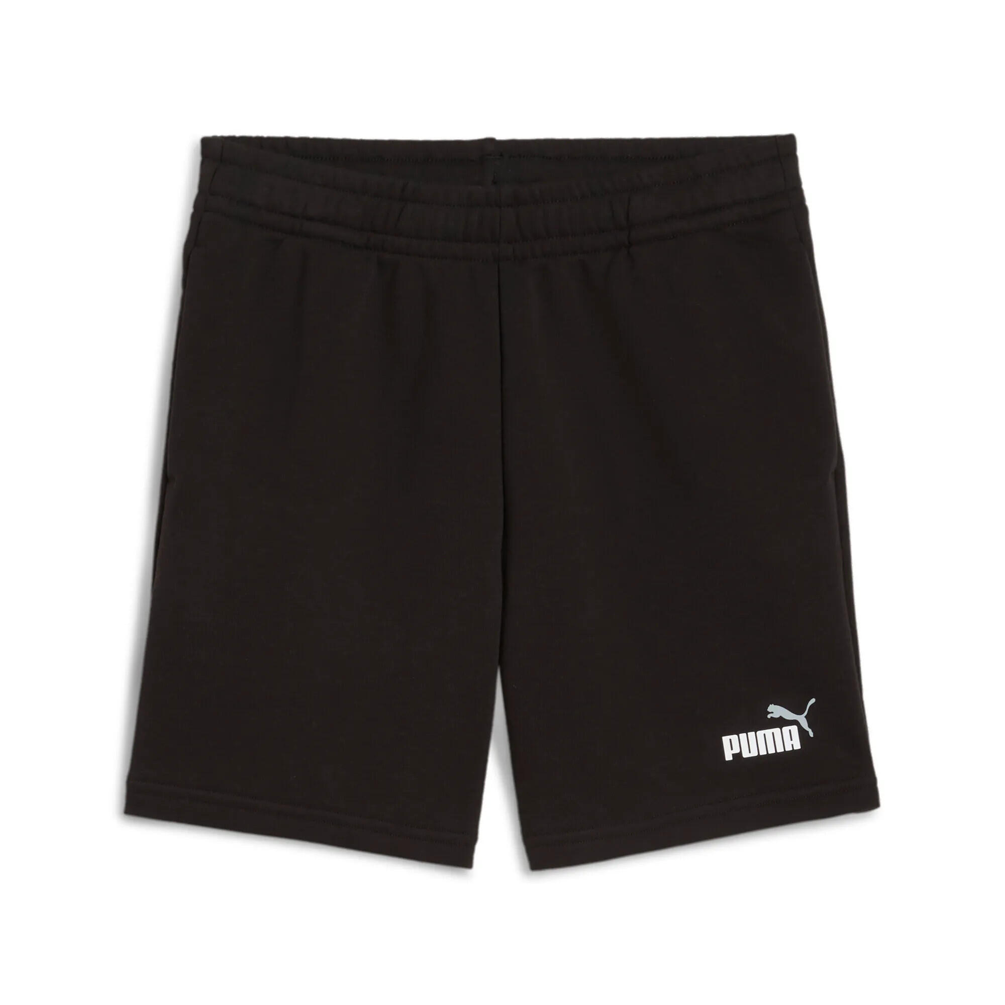 PUMA picture