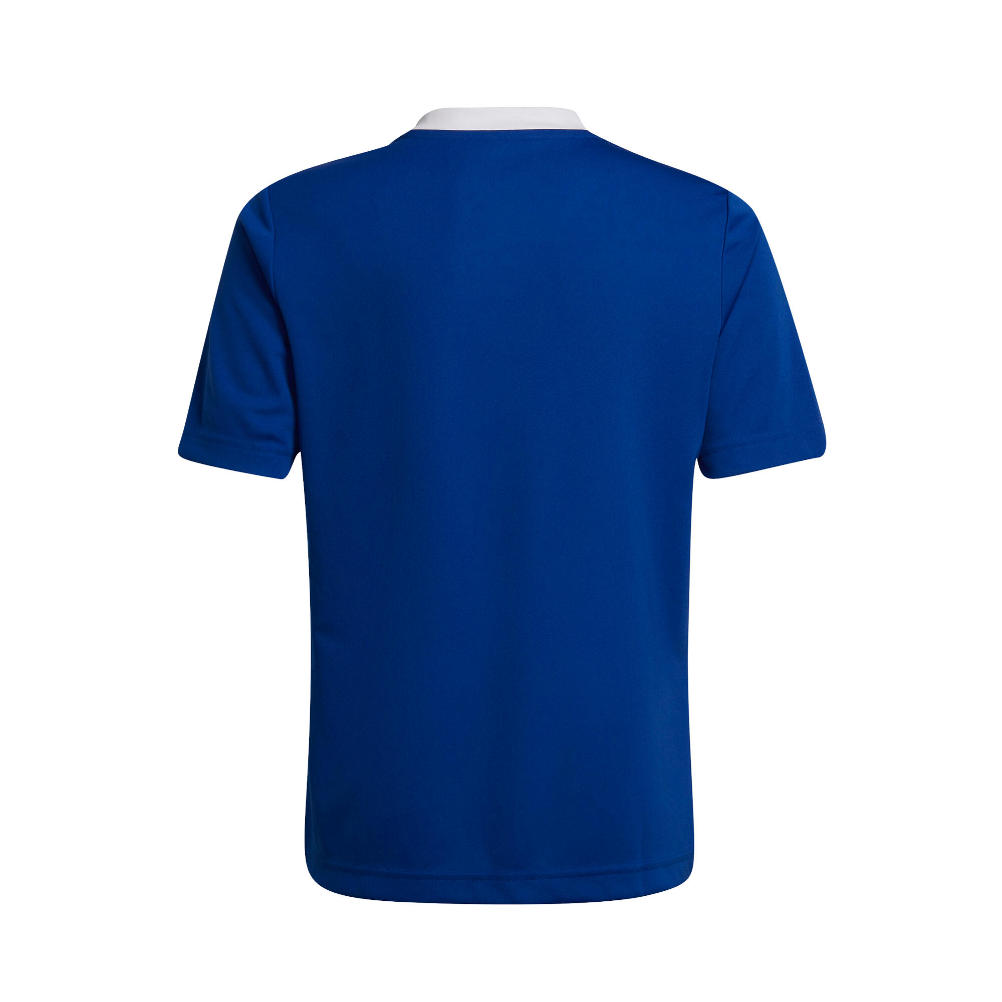 T-shirt Adidas model HG3948 for children 2/5
