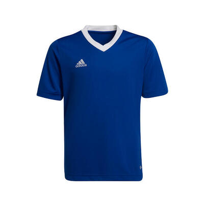 Adidas entrada22 jeugdshirt voor jongens en meisjes - team grijs vier