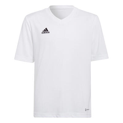 Adidas entrada22 jeugdshirt voor jongens en meisjes - team grijs vier