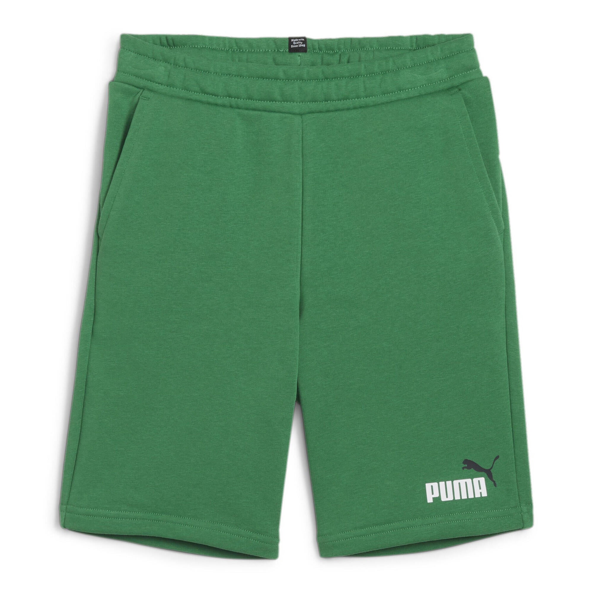 PUMA picture