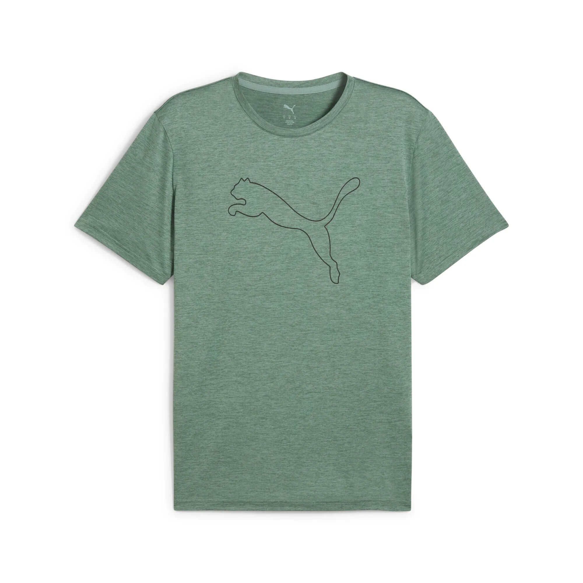 PUMA picture