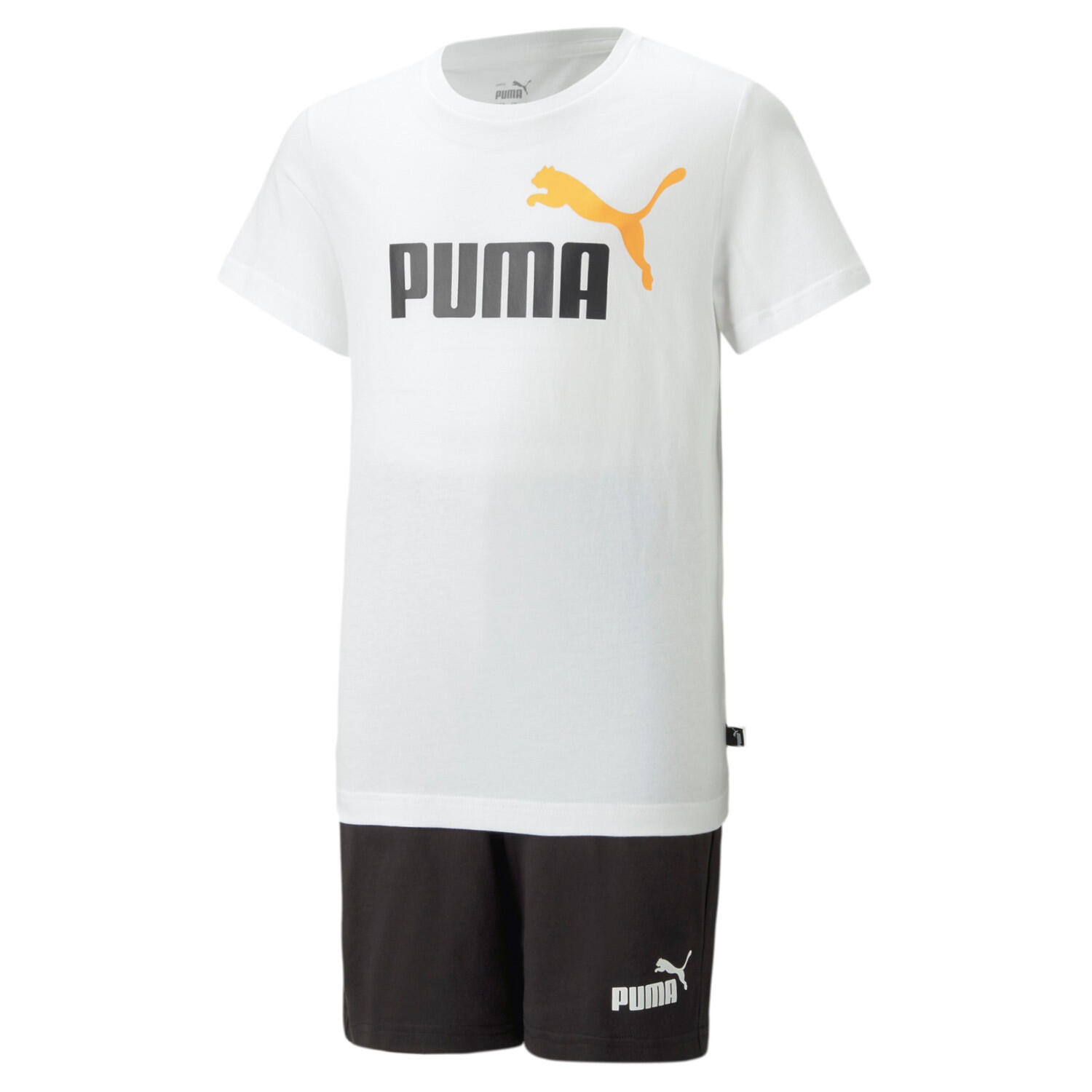 PUMA picture