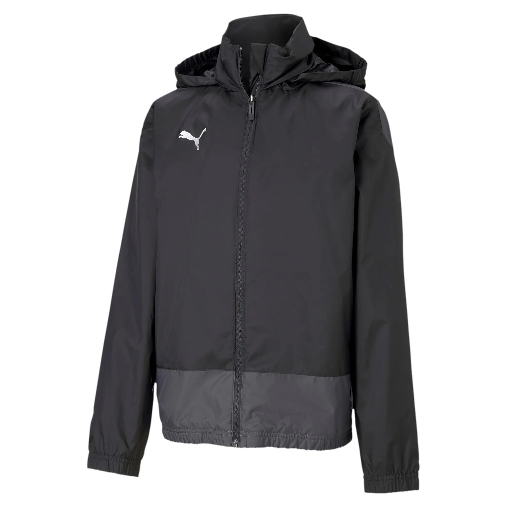 PUMA picture