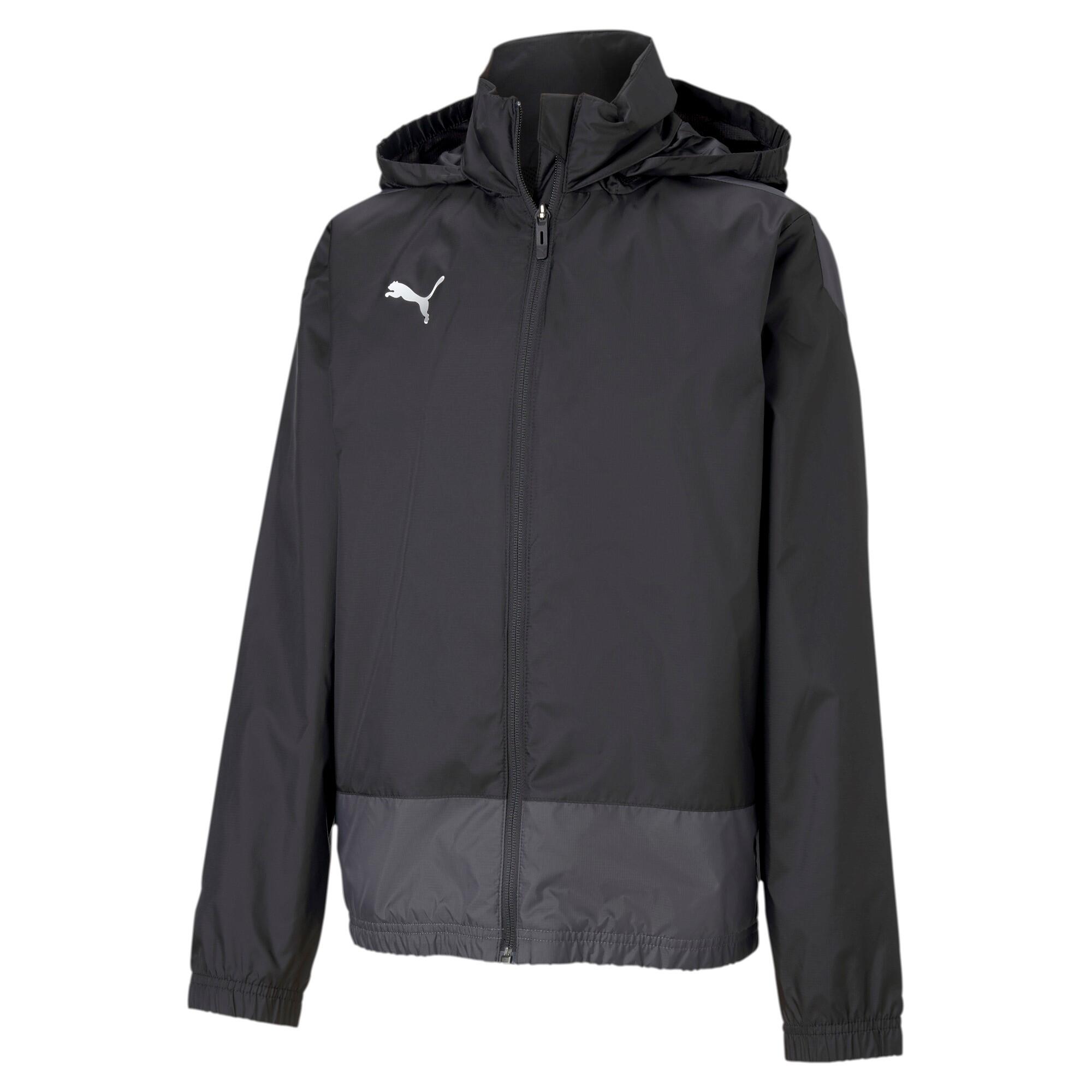 PUMA picture