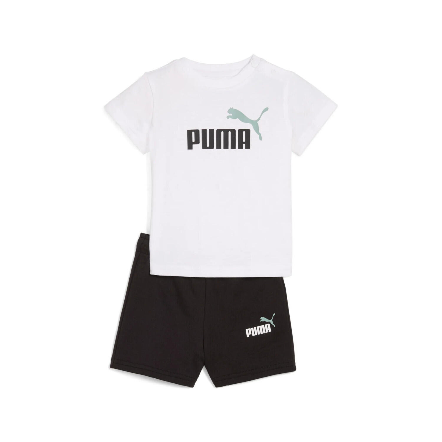 PUMA picture