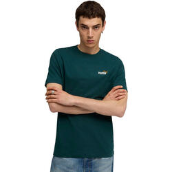 T-shirt Puma Ess 2 Color Small No. 1 Logo Tee, Vert, Hommes