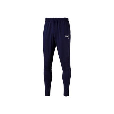 Broek puma liga pants pro, zwart, mannen