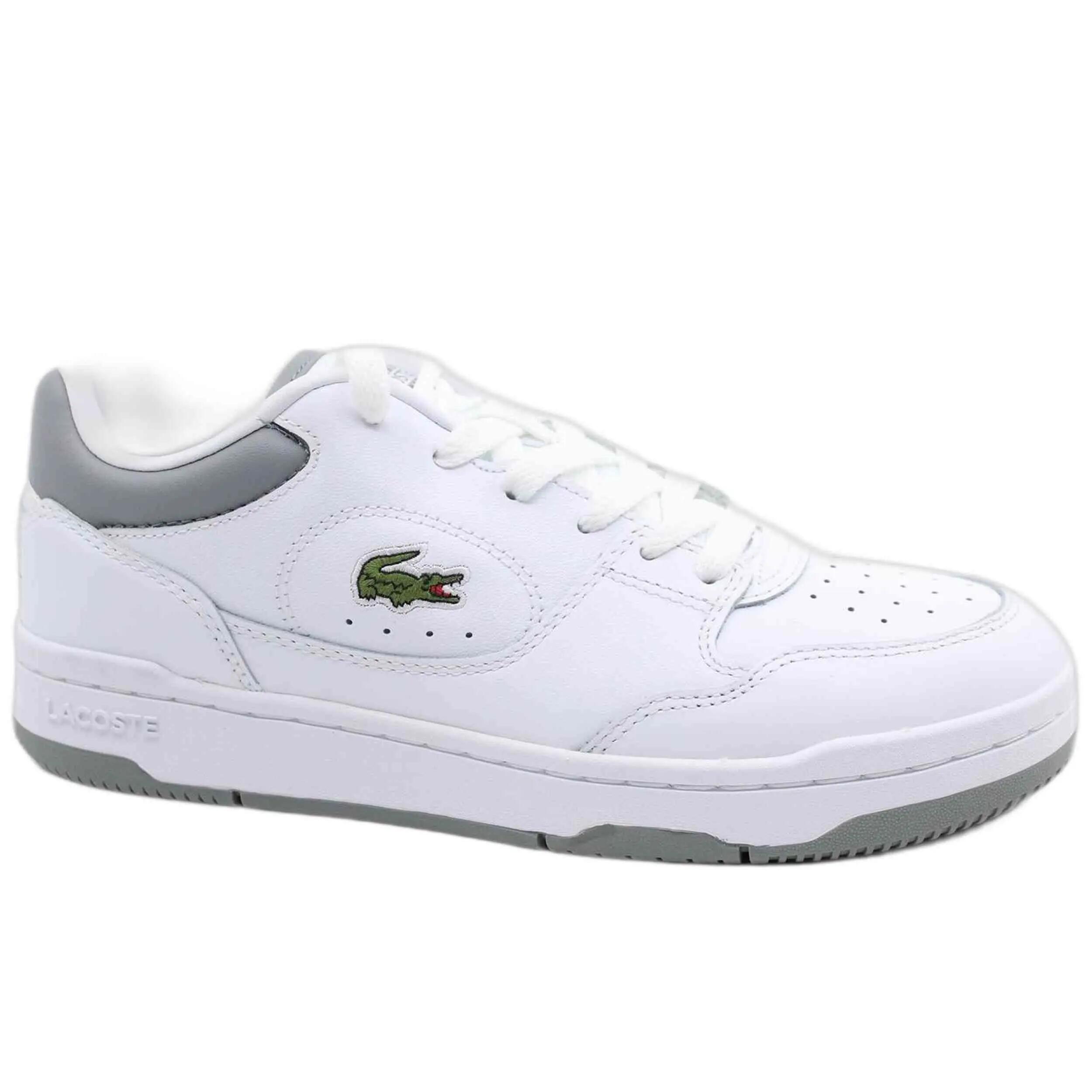 LACOSTE picture