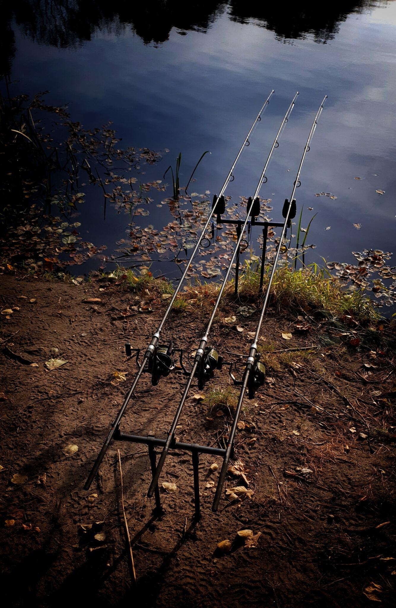 Buzz Bar Carpa 3 Canne 36cm Set da 2 3/3