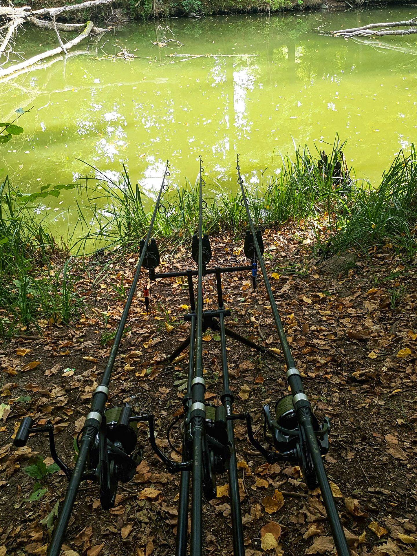 Rod Pod Carpa Phantom Ultralite 4/6