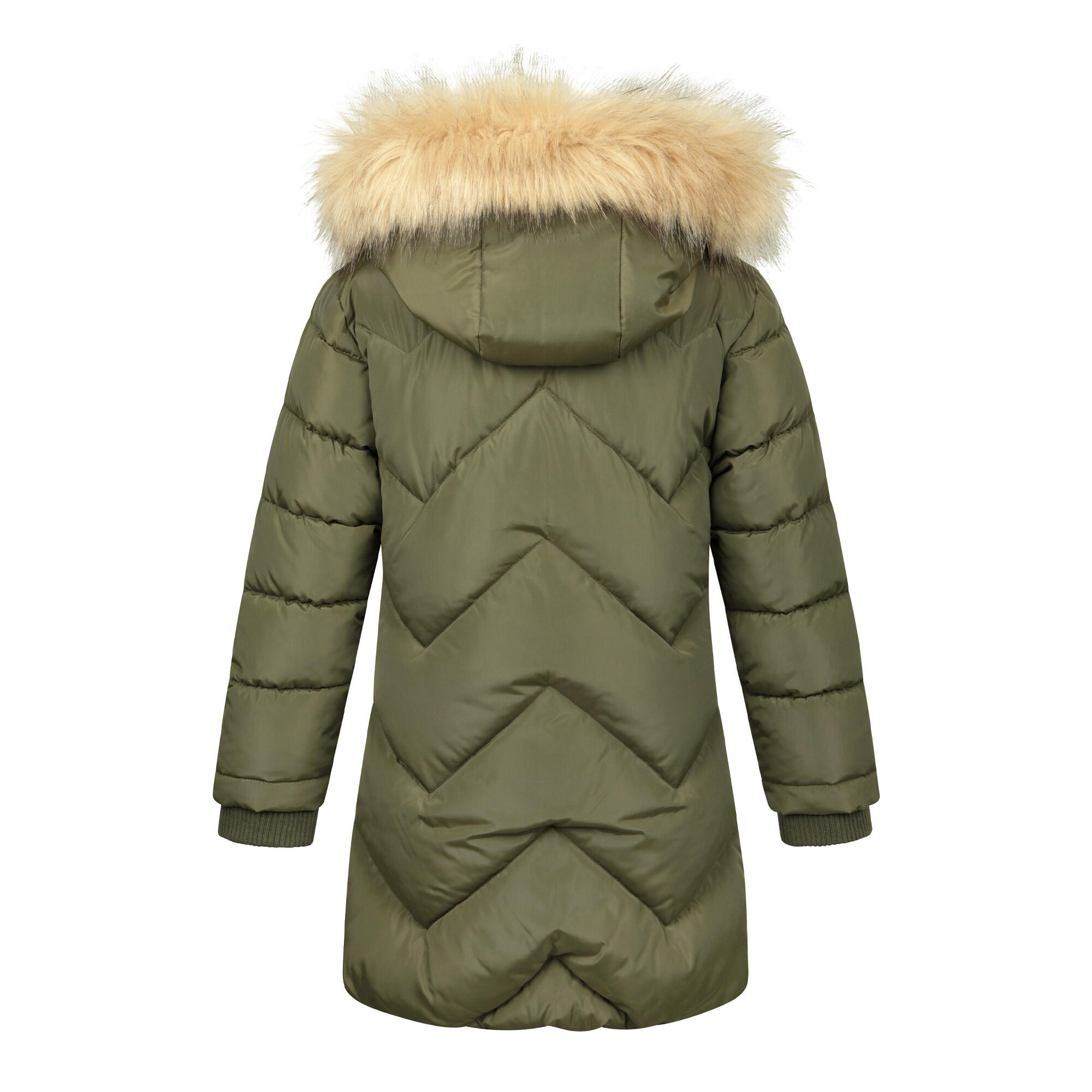 Childrens/Kids Galaxy Water Resistant Padded Jacket (Dark Khaki) 2/4