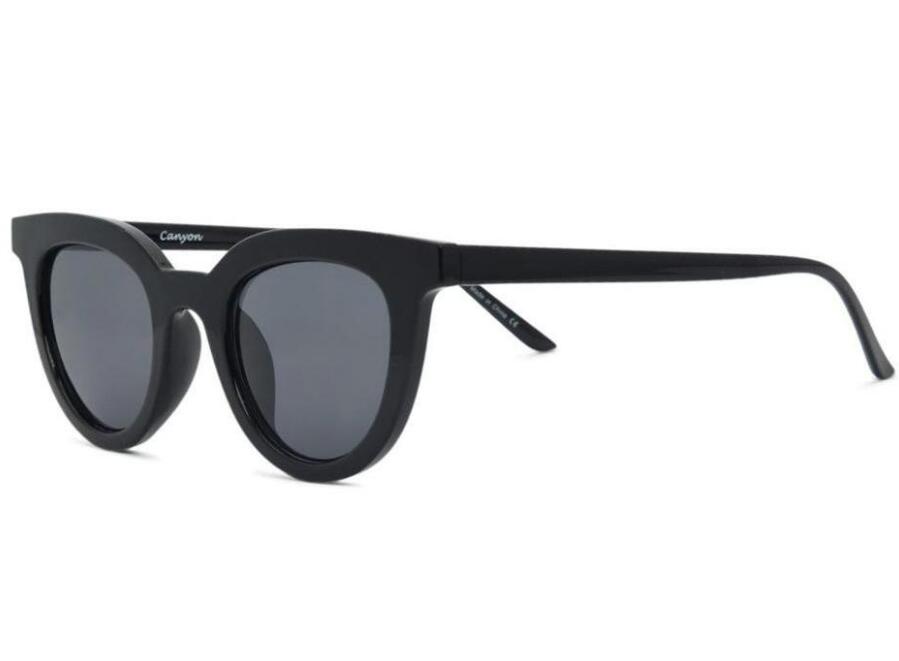 Lunettes de Soleil Polarisées I-SEA "Canyon" 2/3