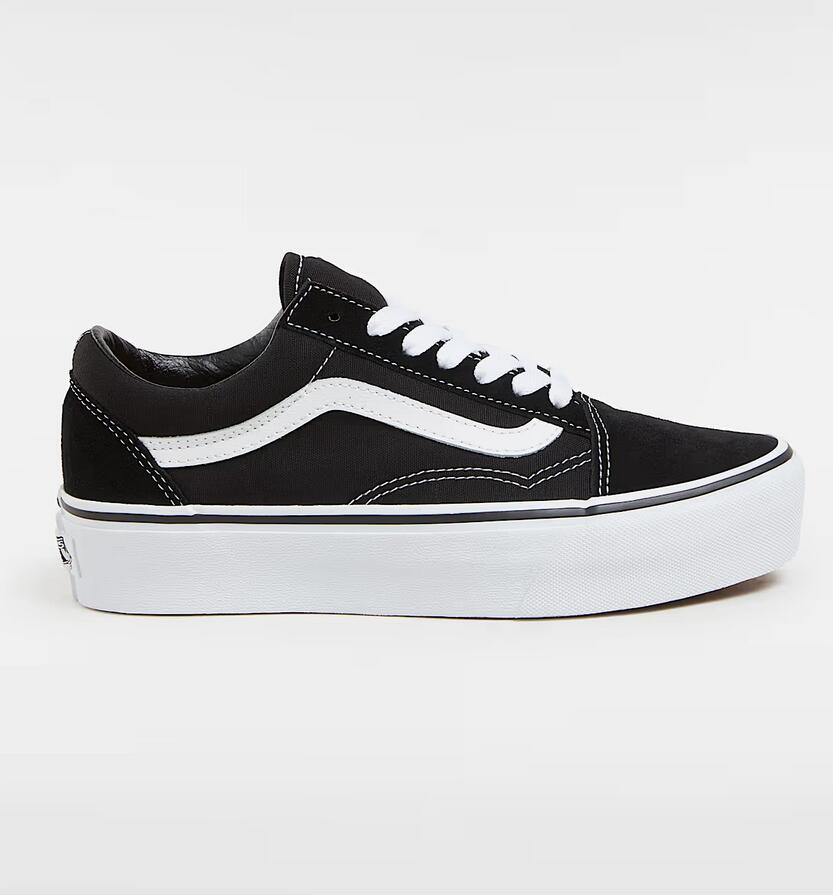 VANS picture