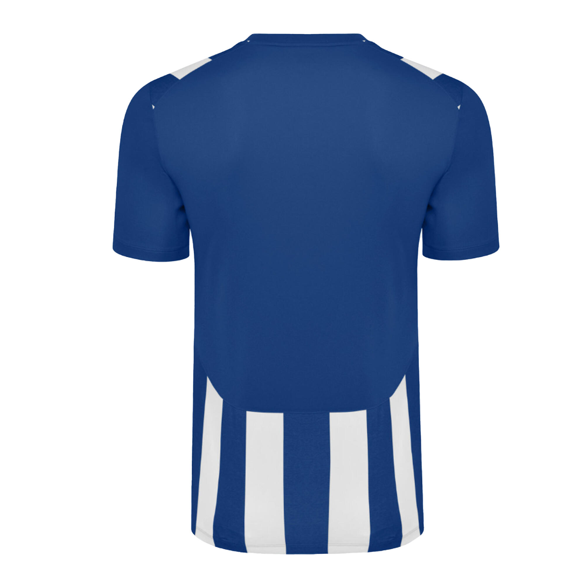 Childrens/Kids Ramones Jersey (Royal Blue/White) 2/4