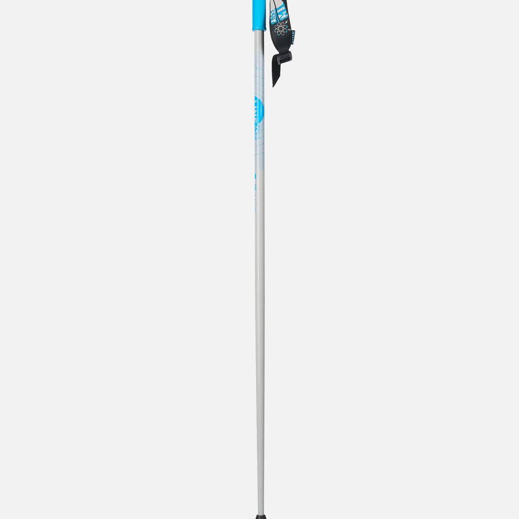 Line Wallischtick Ski Poles - 105cm - 23/24