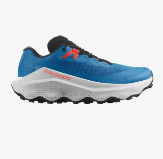 SALOMON picture