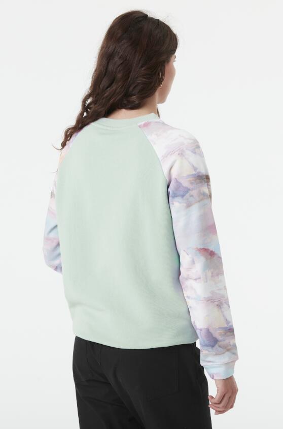 Sweat en Coton Picture "BLAYR PRINTED CREW" L Multicolor 2/2