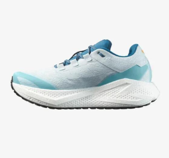 Chaussure de Running / Trail Homme Salomon "AERO GLIDE 3 GRVL" 42 Bleu Clair 5/5