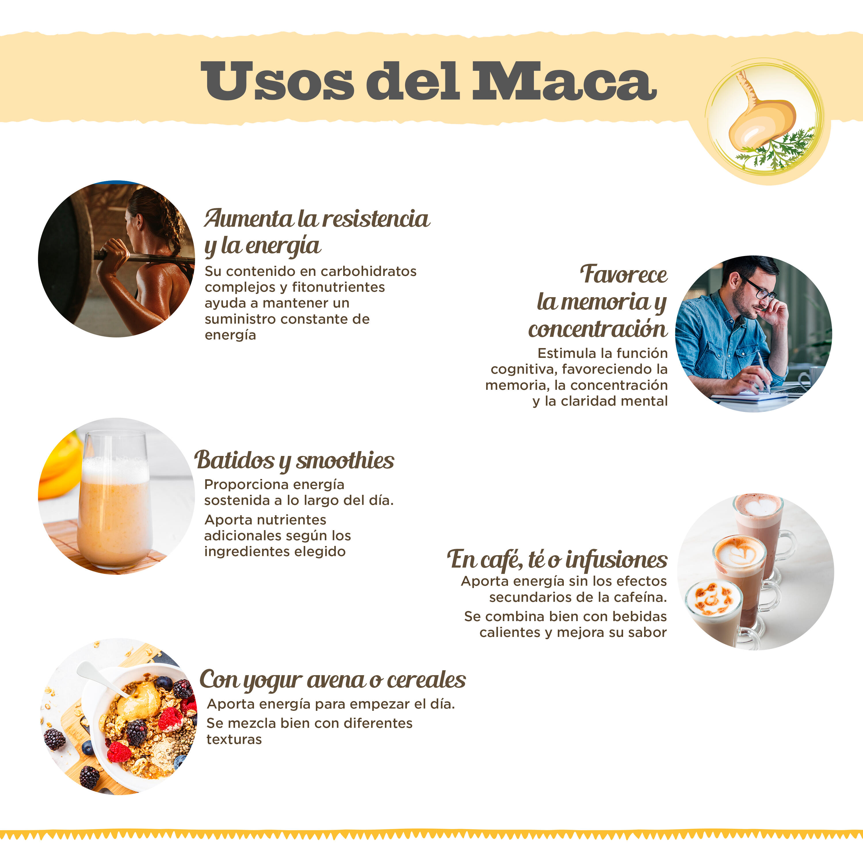 Maca Bio 225 g Doypack Superalimentos Drasanvi 5/6