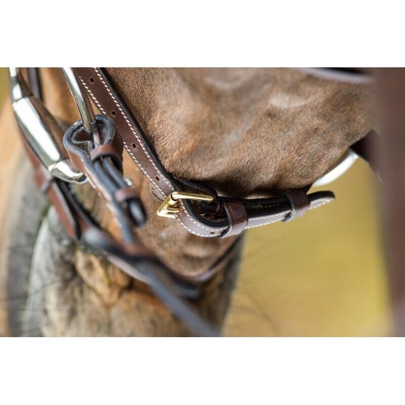 Bridas de equitación HFI Comfort 5/7