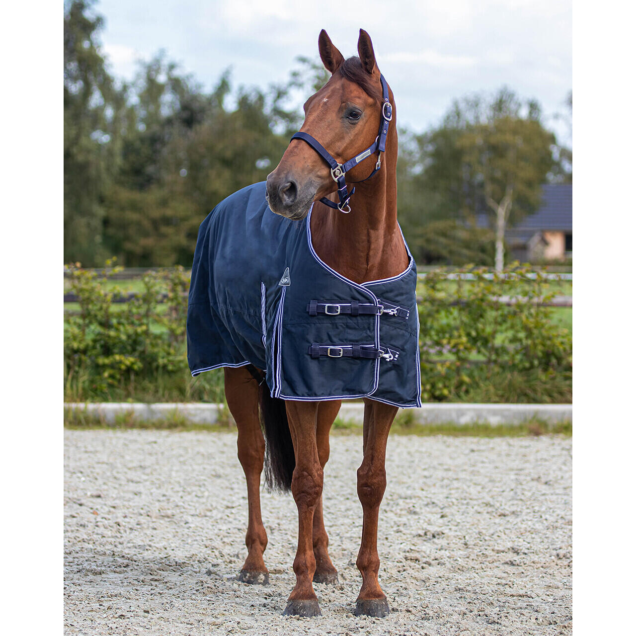 Tapis de participation personnalisé pour chevaux avec cou complet Équipement pou