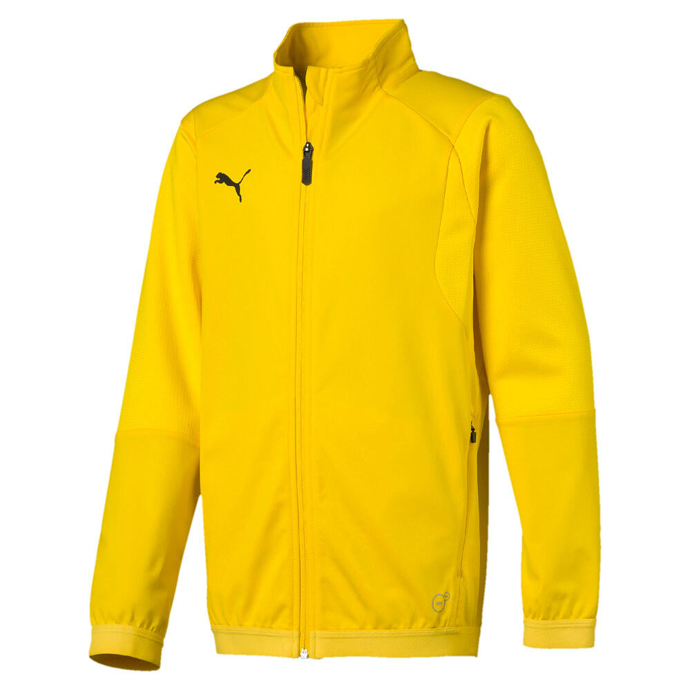PUMA picture