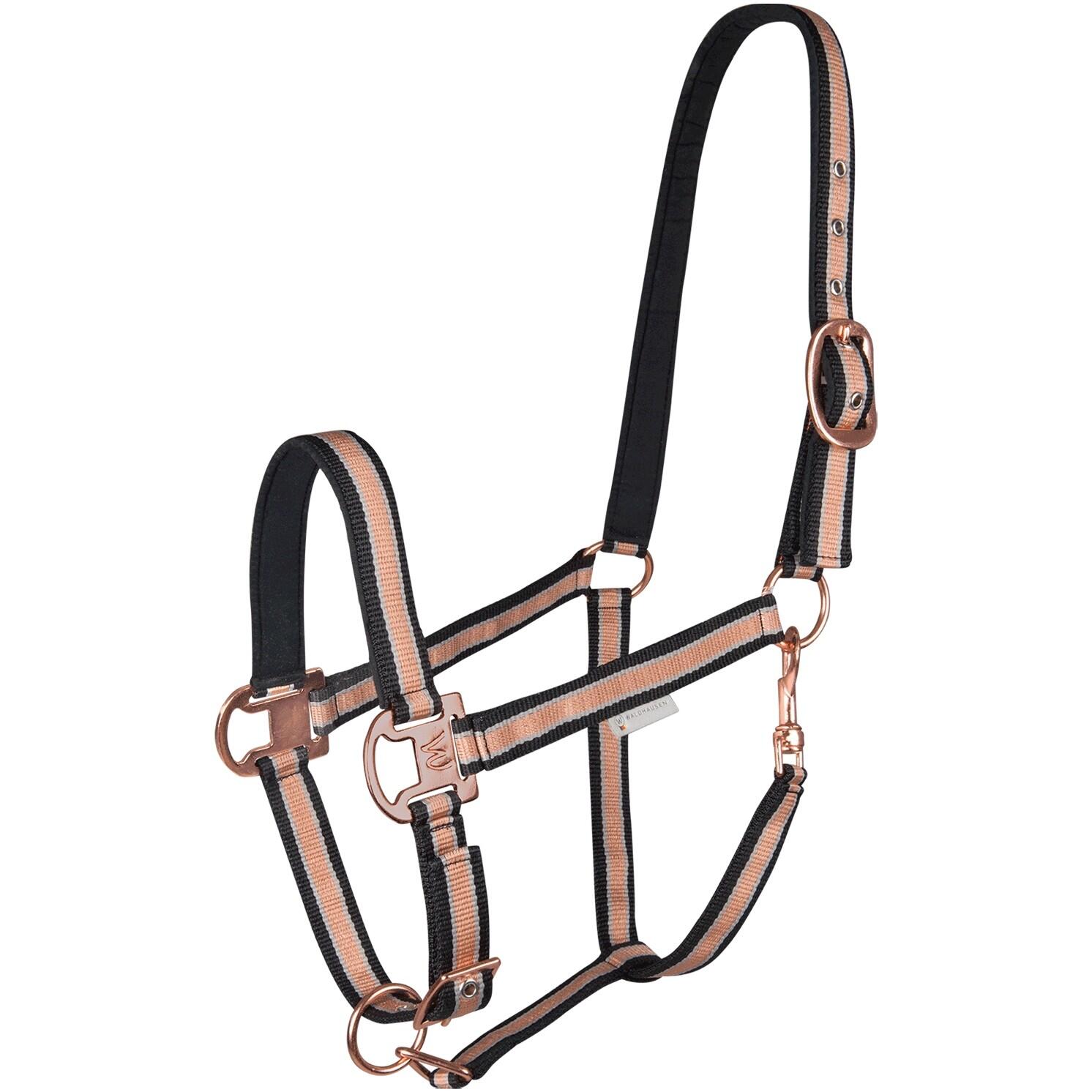 Waldhausen - Licol Pour Poney Satin Waldhausen Shine - Licol - Jaune|noir - Ps - Decathlon