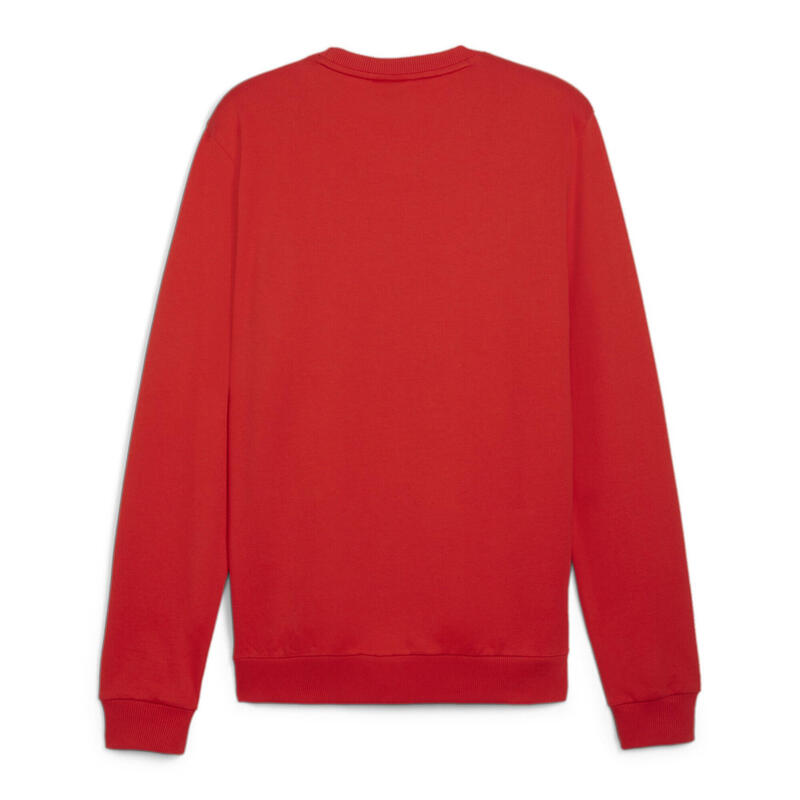 Hanorac bărbați Puma Team Goal Casuals, crew neck, 100% bumbac