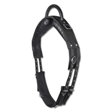 Surfaix pour cheval à une poignées Star