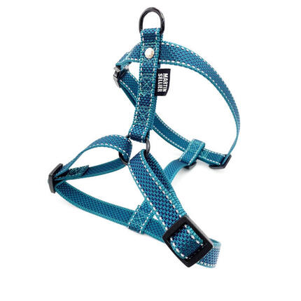 Szelki dla psa nylonowe punktowe Martin Sellier