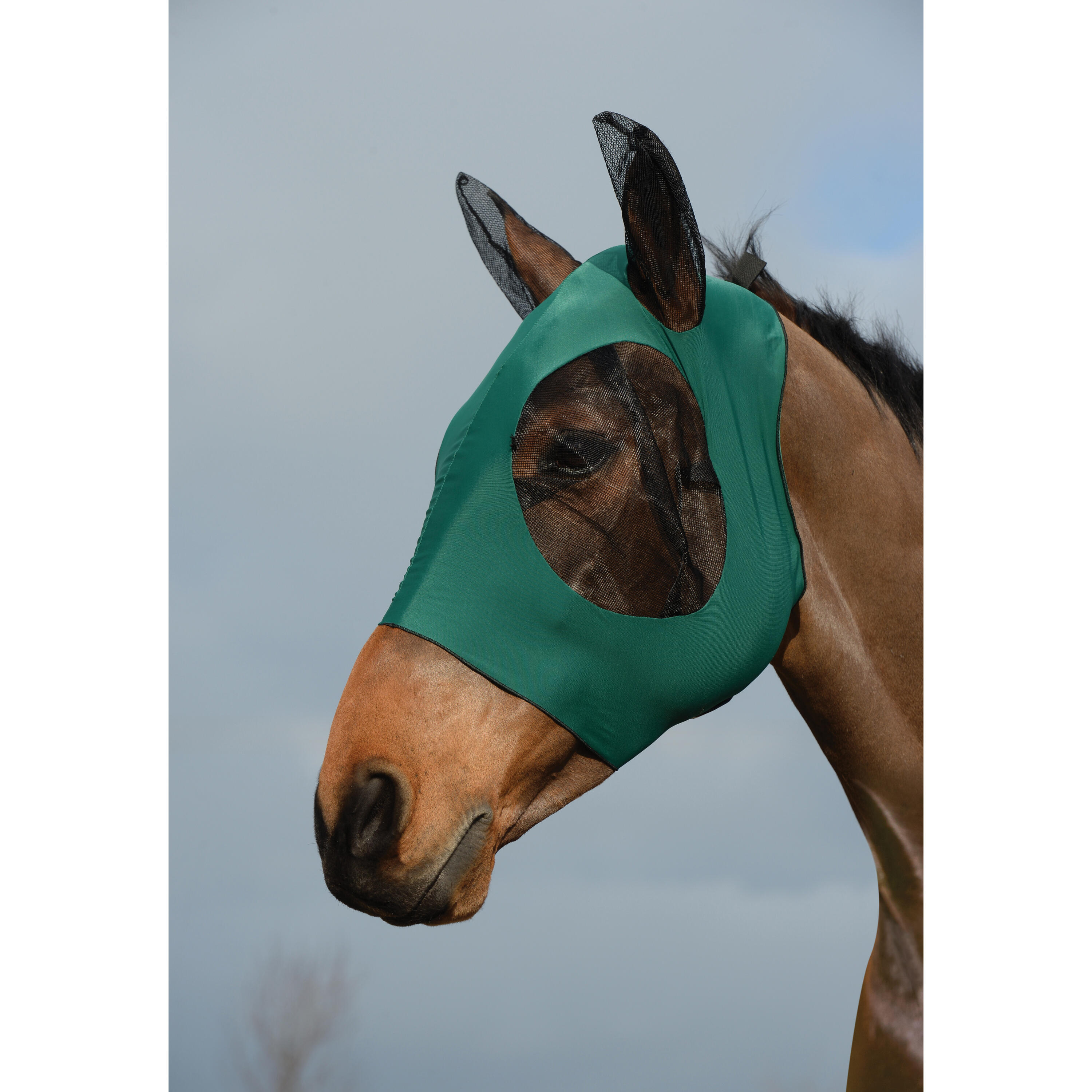 Weatherbeeta - Masque Anti-mouches Extensible Des Yeux Et Oreilles Pour Cheval Weatherbeeta Bug - Masque Anti Mouche - Noir|vert - Ps - Decathlon