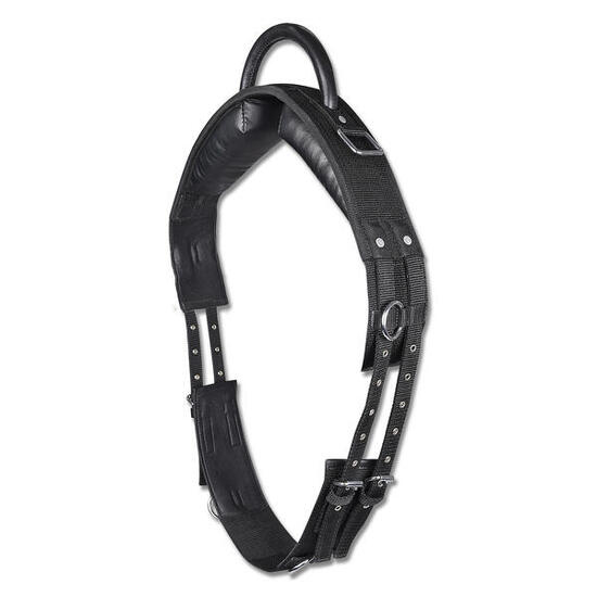 Surfaix pour cheval à une poignées Star