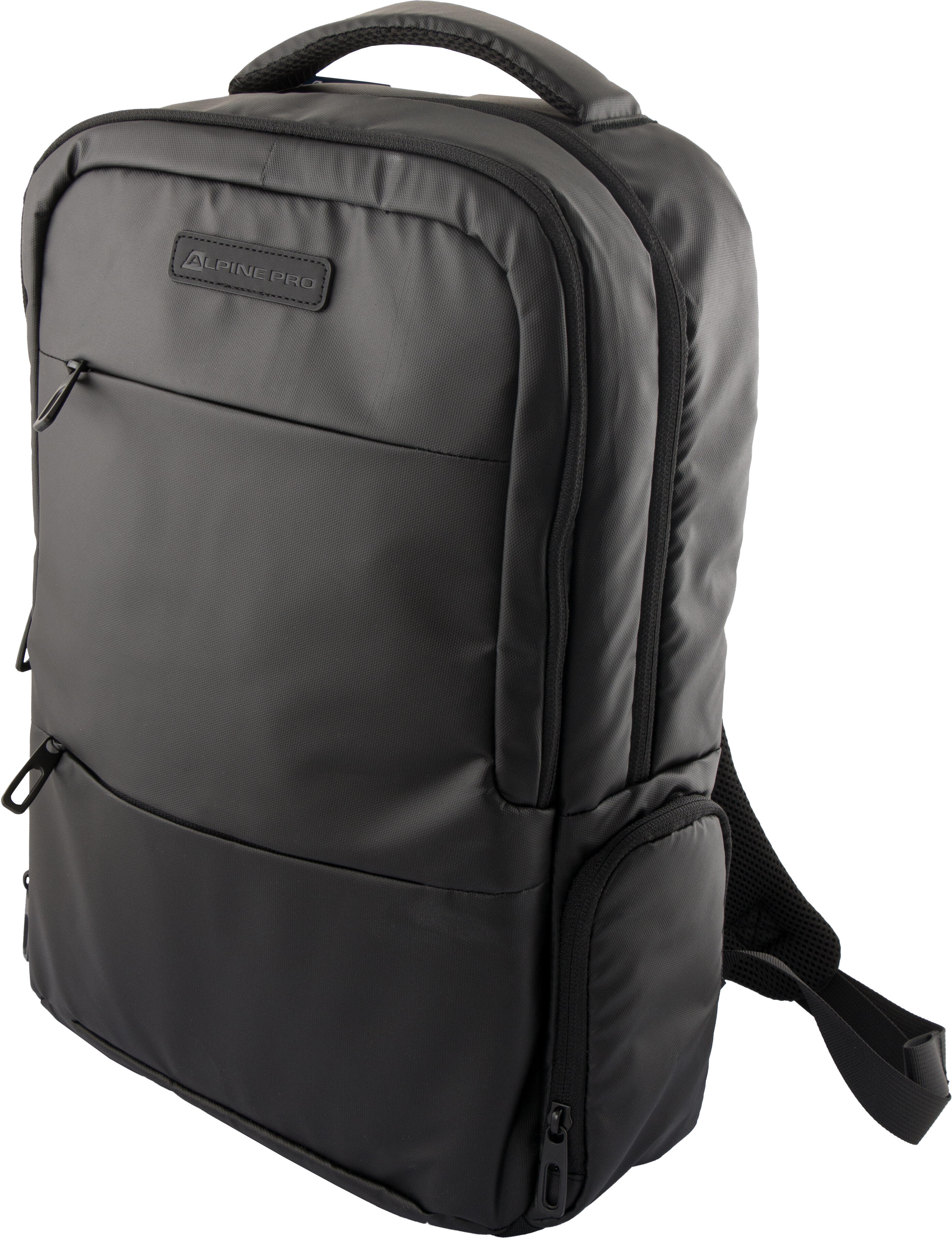 ALPINE PRO picture