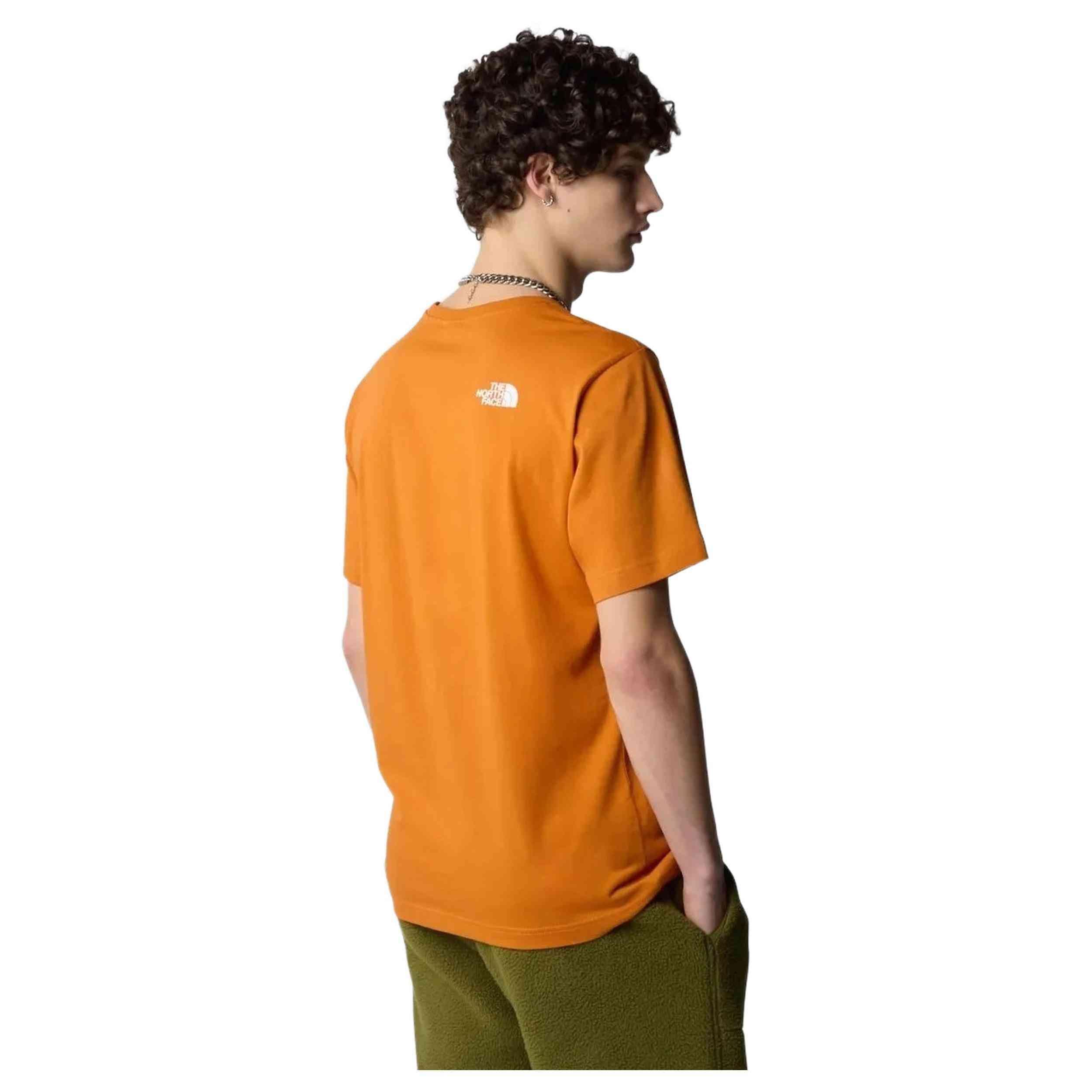 T-shirt The north face modèle NF0A87N5PCO1 pour homme 3/4