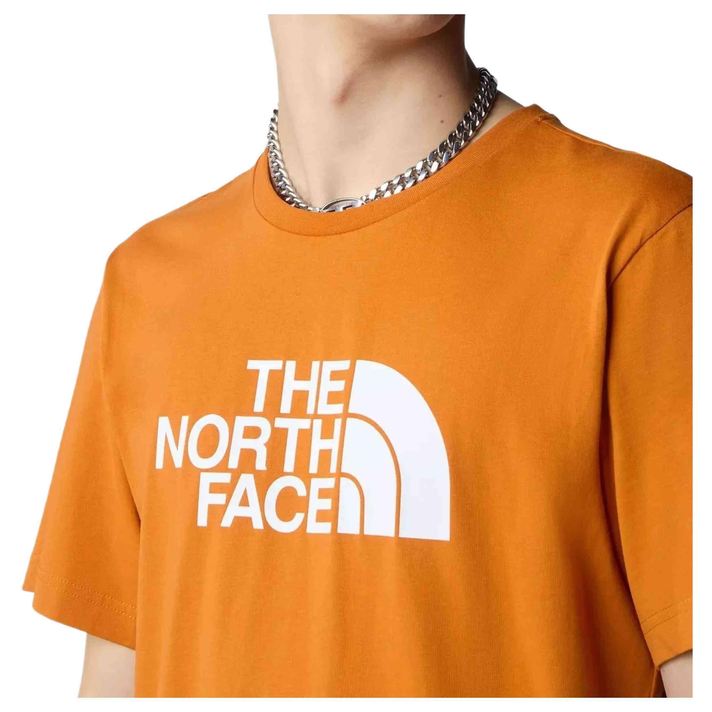 T-shirt The north face modèle NF0A87N5PCO1 pour homme 4/4