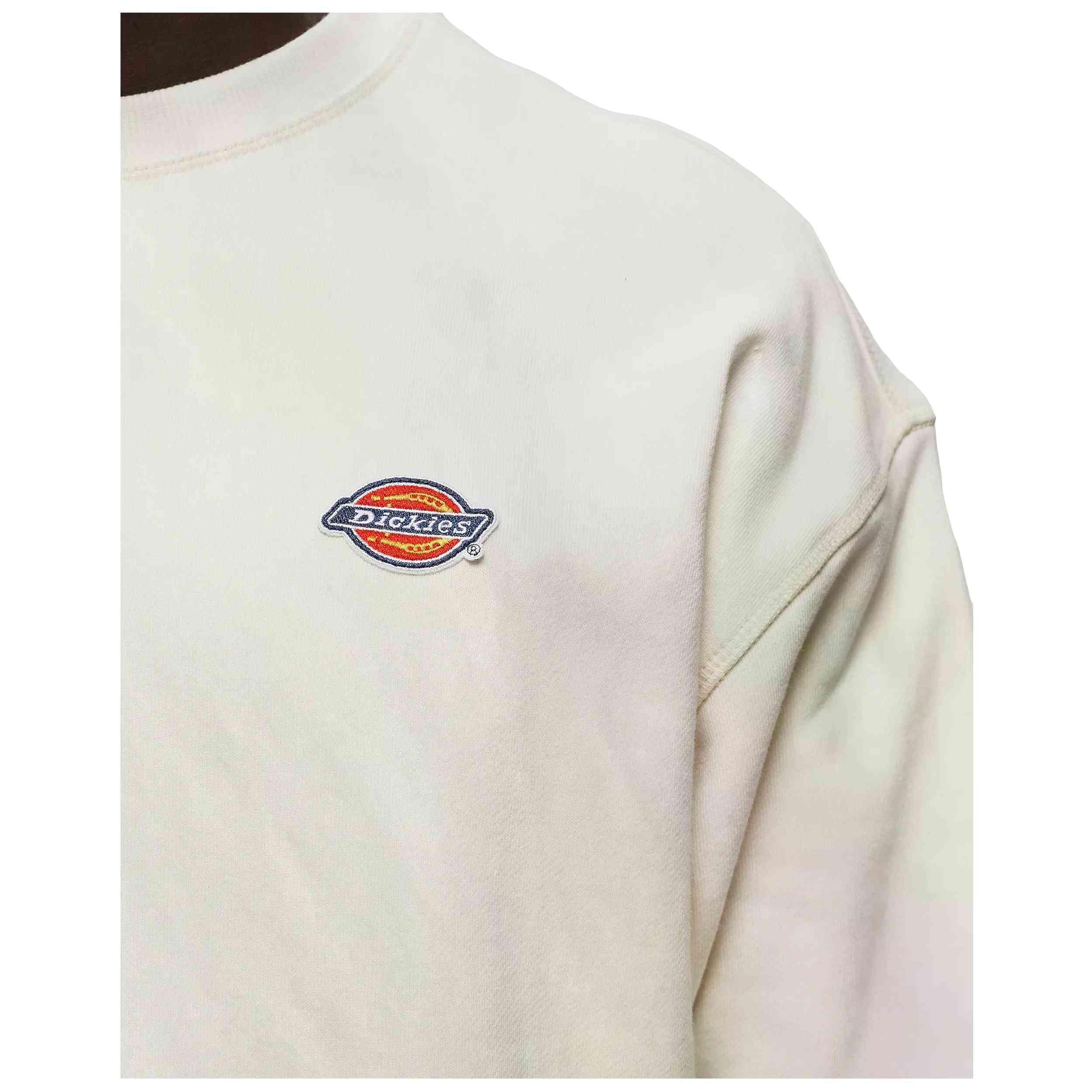 Sudadera Dickies para hombre 3/3