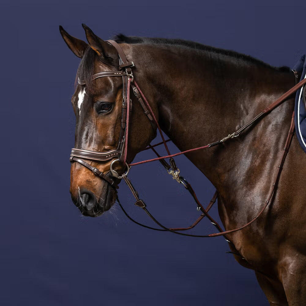 Accessoire de bridon pour cheval nylon Dy'on Gogue 5/5