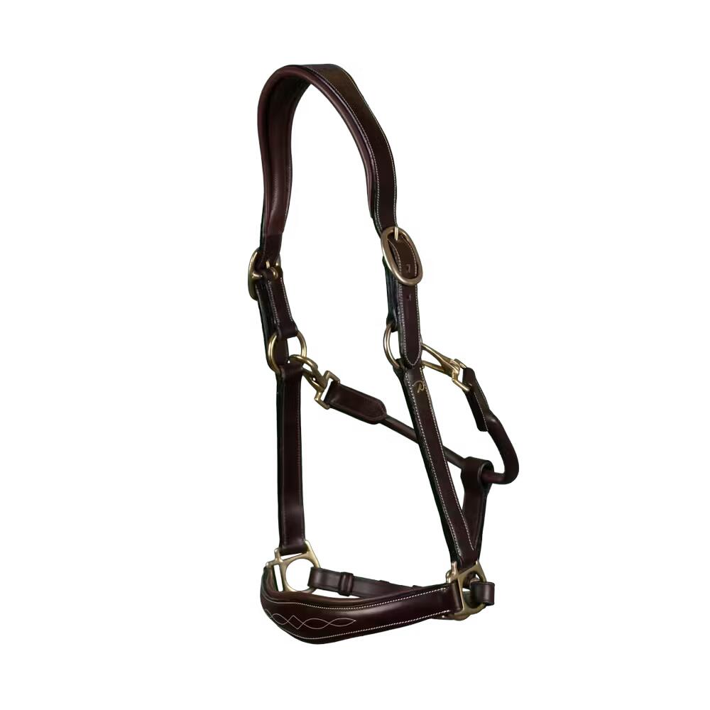 Licol cuir pour cheval Dy'on 2/7