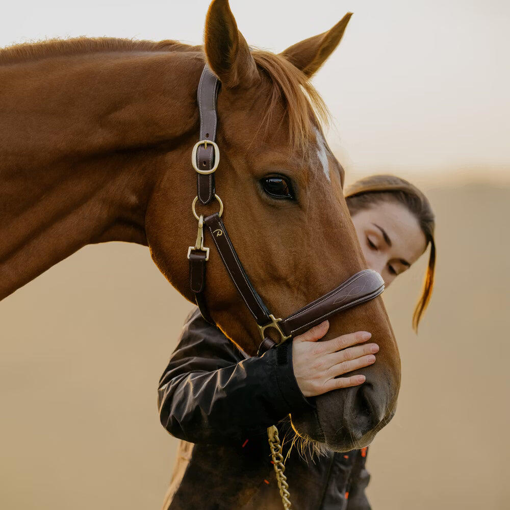 Licol cuir pour cheval Dy'on 4/7