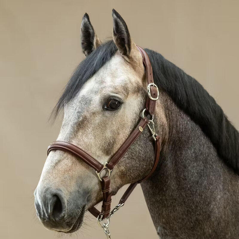 Dy'on Soft Leather Head Collar Working Collection Zwart -