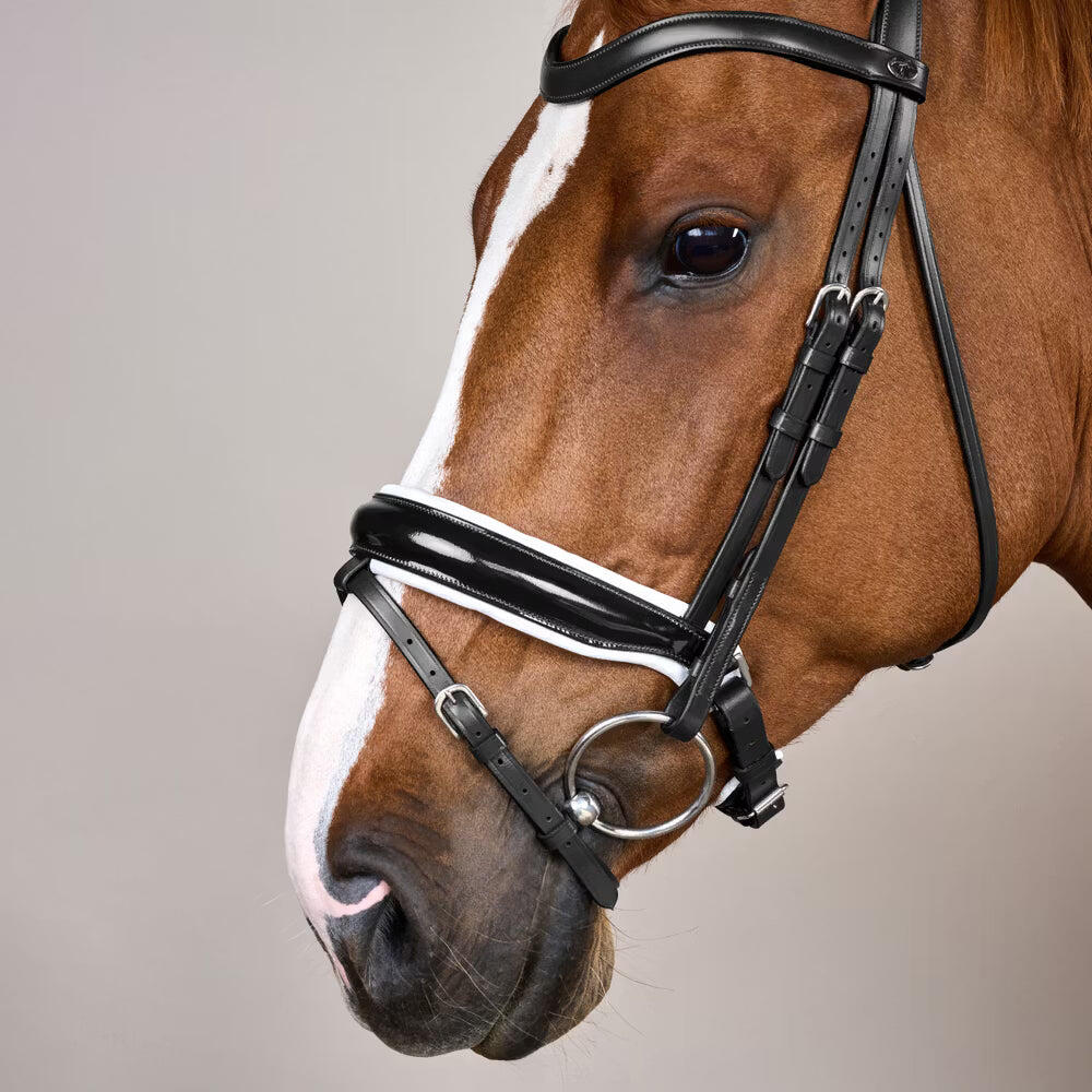 Bridon équitation muserolle combinée large vernissé avec doublure blanche Dy'on 3/6