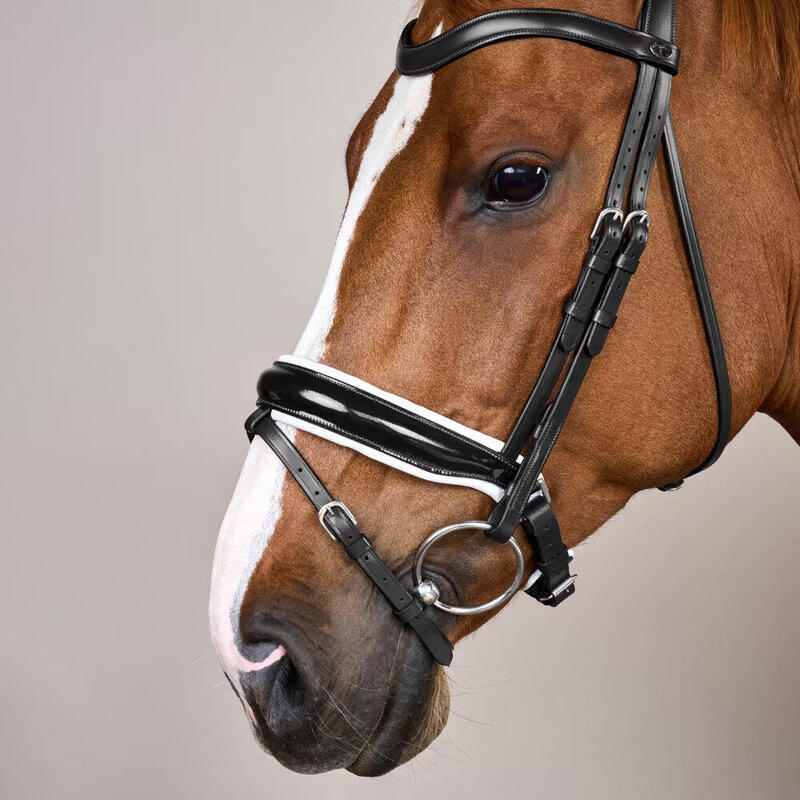 Dy'on Large Crank Noseband Hoofdstel With Flash - Working Wit -