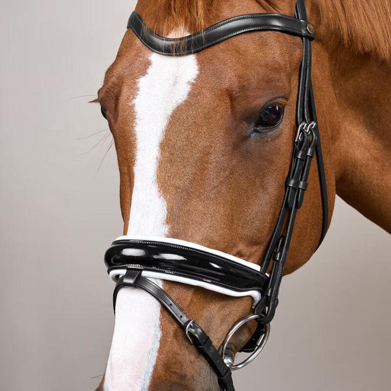 Dy'on Large Crank Noseband Hoofdstel With Flash - Working Wit -
